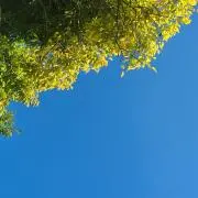 断捨離中☆hichanの画像