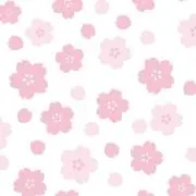 *こまりの画像