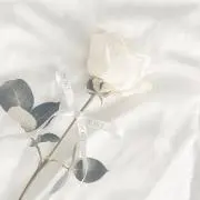 かなめ✧プロフィール必読の画像