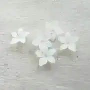 cacoの画像