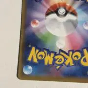 ポメ発