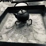 QMAの画像