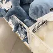 saの画像