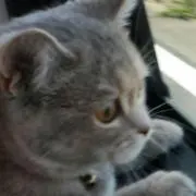 まっつんつん