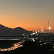 のりのりの画像