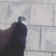 momemexの画像