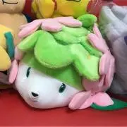 ヨシミの画像
