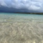 Mの画像