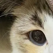 375