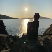 あたりめ