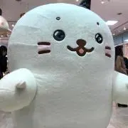 しろたんの画像