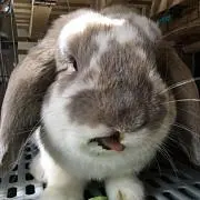 milkcrown1124の画像