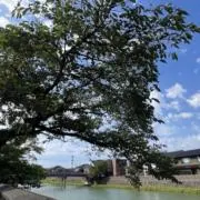 Moの画像