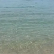 ゆん(ᐡ•͈ ·̫ •͈ᐡ )وの画像
