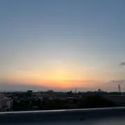 ぽんじーの画像