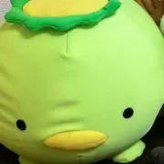 Maybeの画像