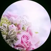 りんの画像