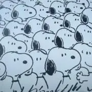 りぃの画像