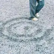 ノギの画像