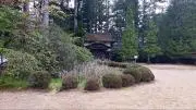 masaの画像