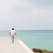 TSの画像