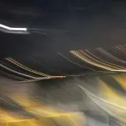 かえるの画像