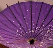 陽の画像