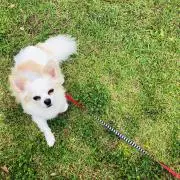s！