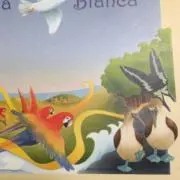 チロの画像