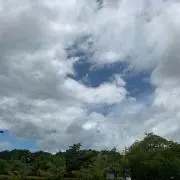 つうふうの画像
