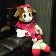 えいきゃん