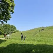 ベル⭐︎の画像