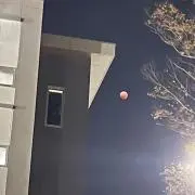 なんの画像