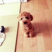 ナガ