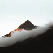 富樫