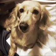 かおるこ