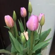 AI♡断捨離中♡即日配送♡の画像