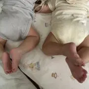 Yの画像