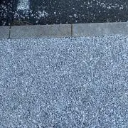 カンの画像