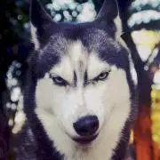 あー