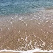 neneの画像