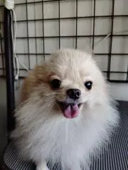 xxxSの画像