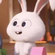 Pomの画像