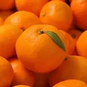 みかんの画像