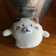 megkumaの画像