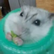 あお
