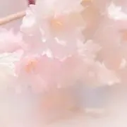 相澤の画像