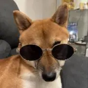 だぁ☺︎の画像