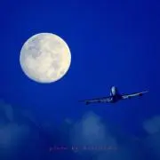 ブルーの画像