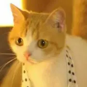 えれな